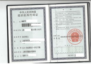 上海某某企业短期借款与内部管理培训优化方案